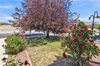 1634 Bighorn Street, Montrose, CO 81401