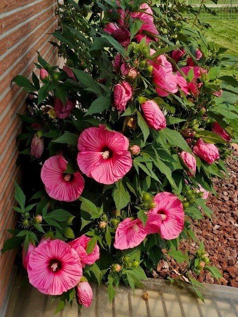 2709 Humble Road, Missoula, MT 59804