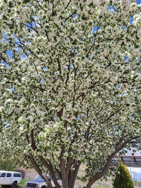 2709 Humble Road, Missoula, MT 59804