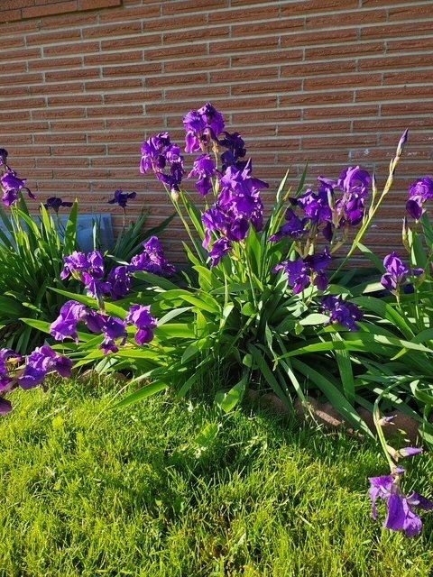 2709 Humble Road, Missoula, MT 59804