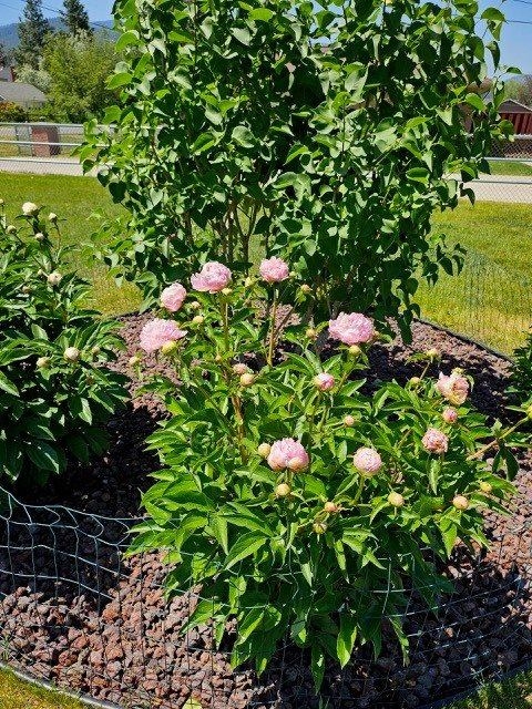 2709 Humble Road, Missoula, MT 59804