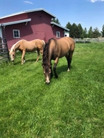 2709 Humble Road, Missoula, MT 59804