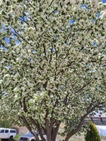 2709 Humble Road, Missoula, MT 59804