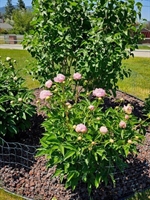 2709 Humble Road, Missoula, MT 59804