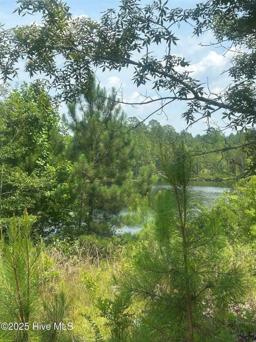 515 Lakeview Lane, Cameron, NC 28326