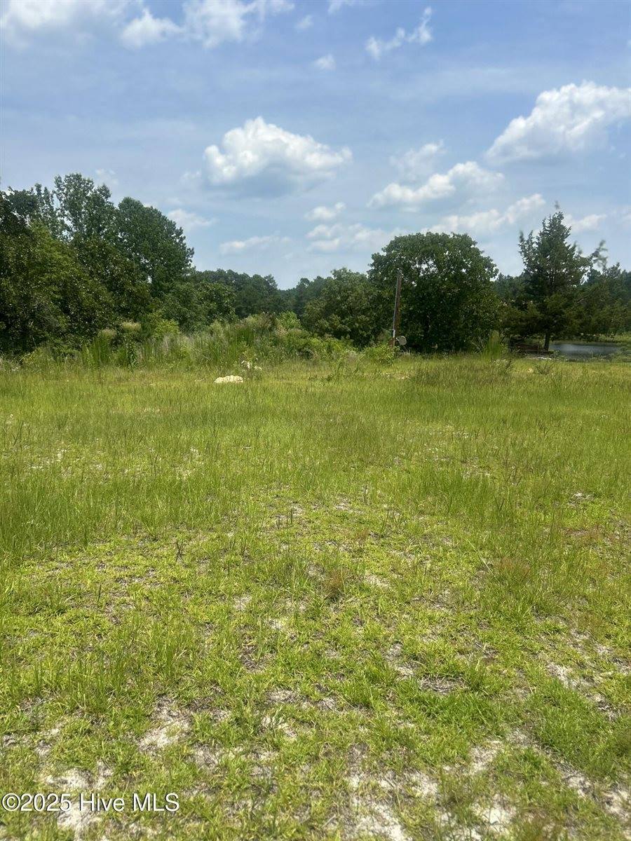 515 Lakeview Lane, Cameron, NC 28326