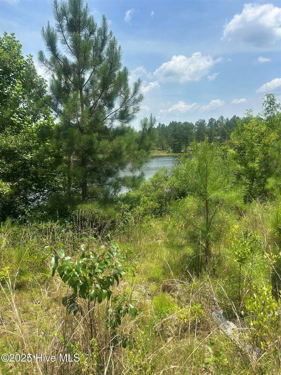 515 Lakeview Lane, Cameron, NC 28326