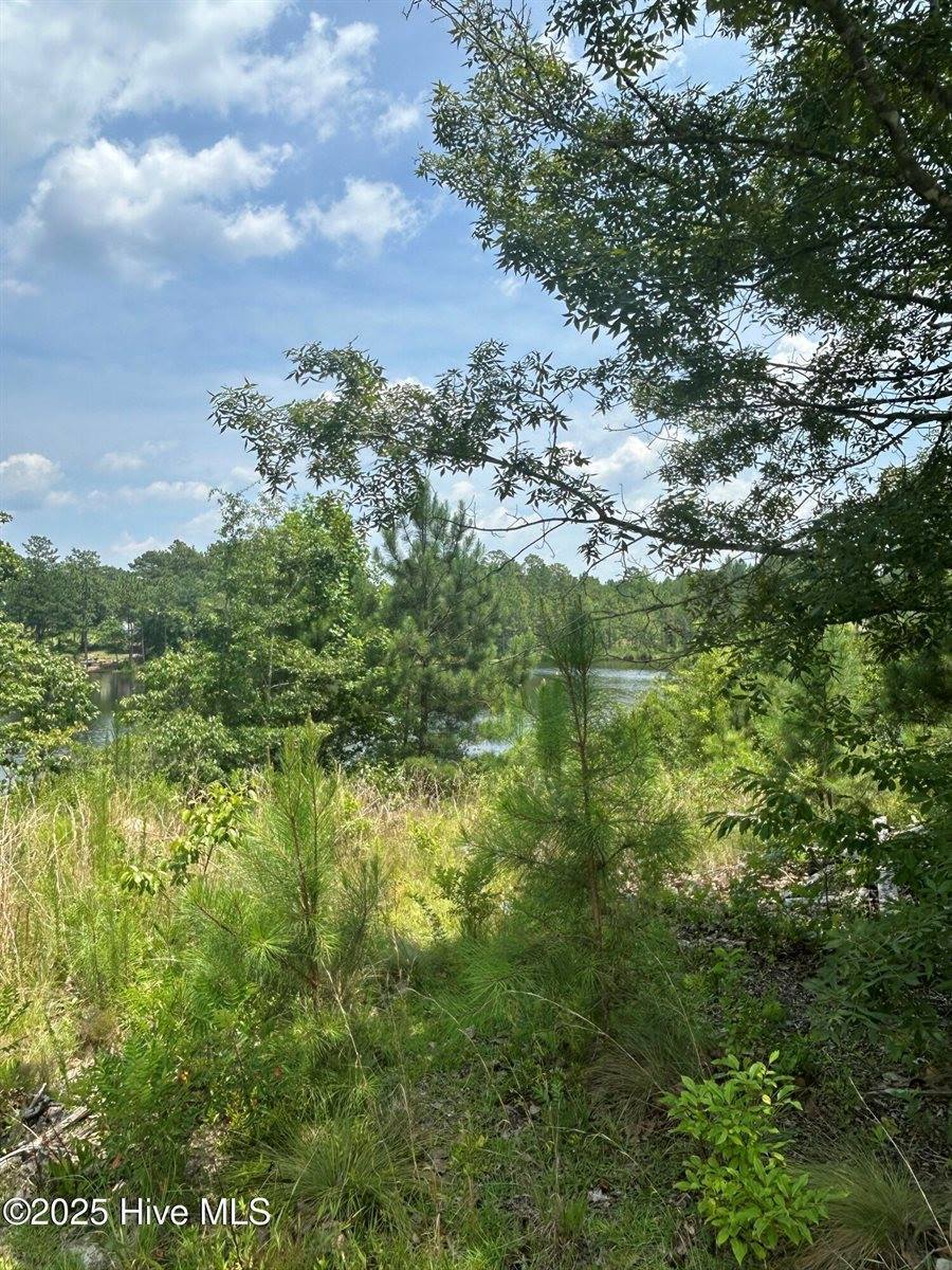 515 Lakeview Lane, Cameron, NC 28326