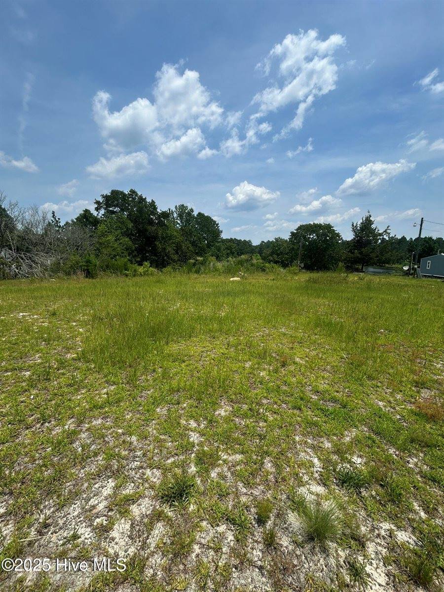 515 Lakeview Lane, Cameron, NC 28326