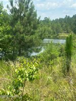 515 Lakeview Lane, Cameron, NC 28326