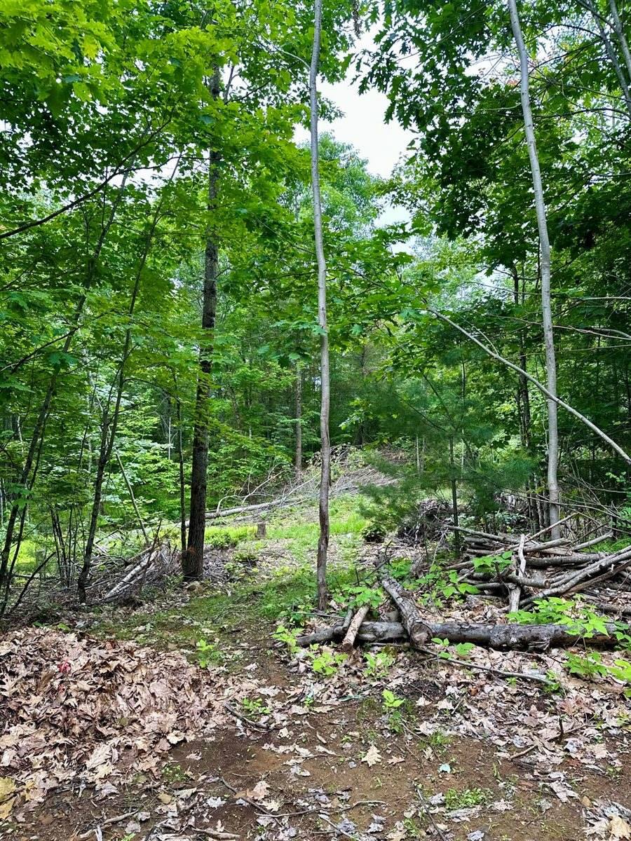 0 Oakwood Road, West Gardiner, ME 04345