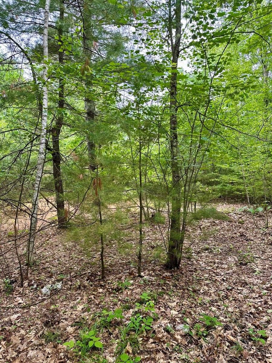 0 Oakwood Road, West Gardiner, ME 04345