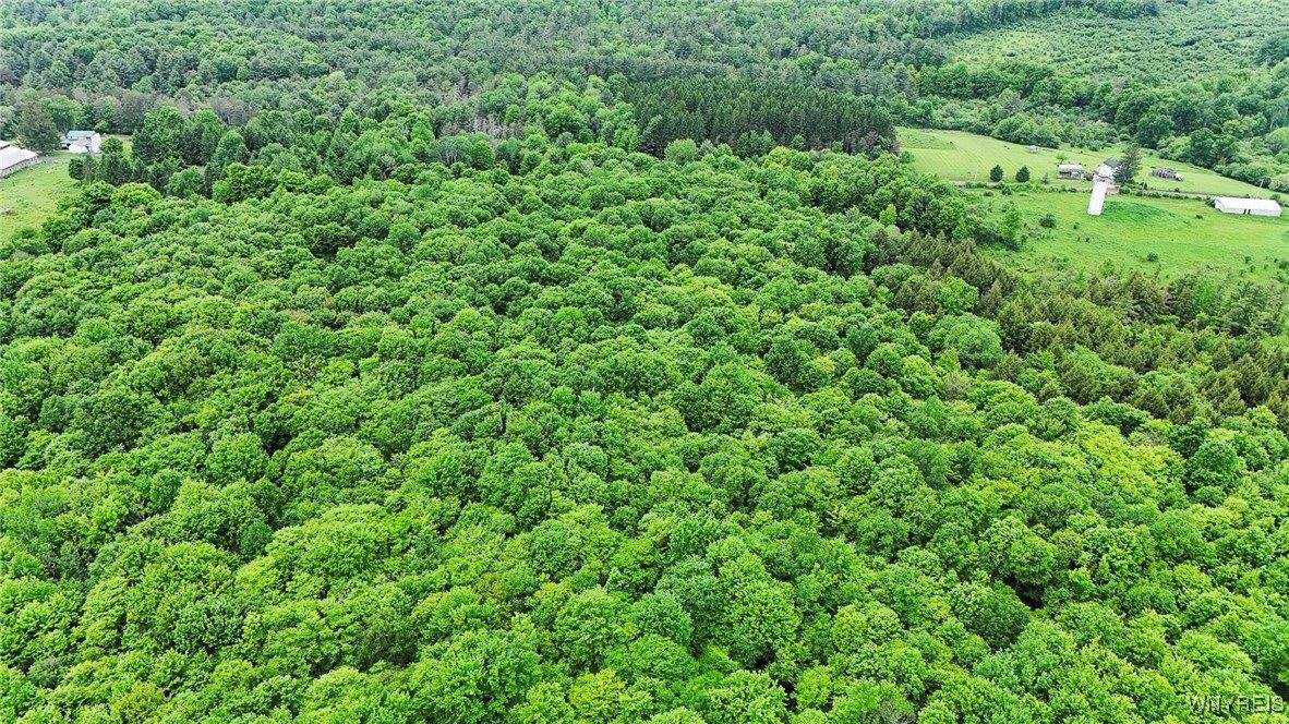 8560 Old State Road, Allen, NY 14709