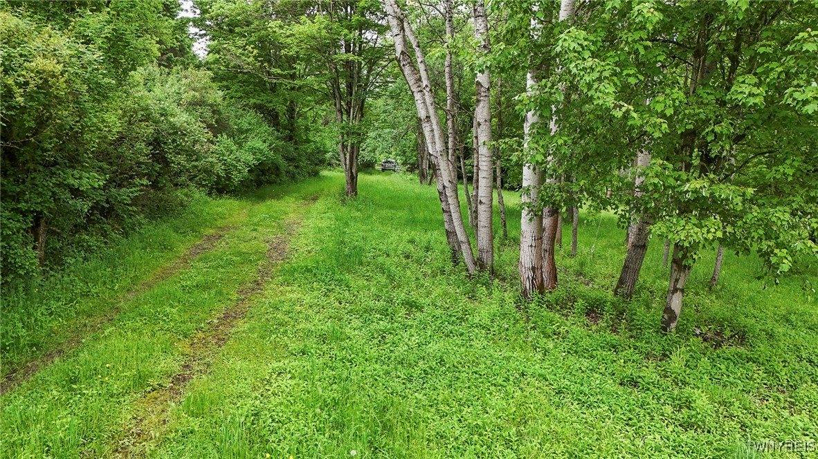 8560 Old State Road, Allen, NY 14709