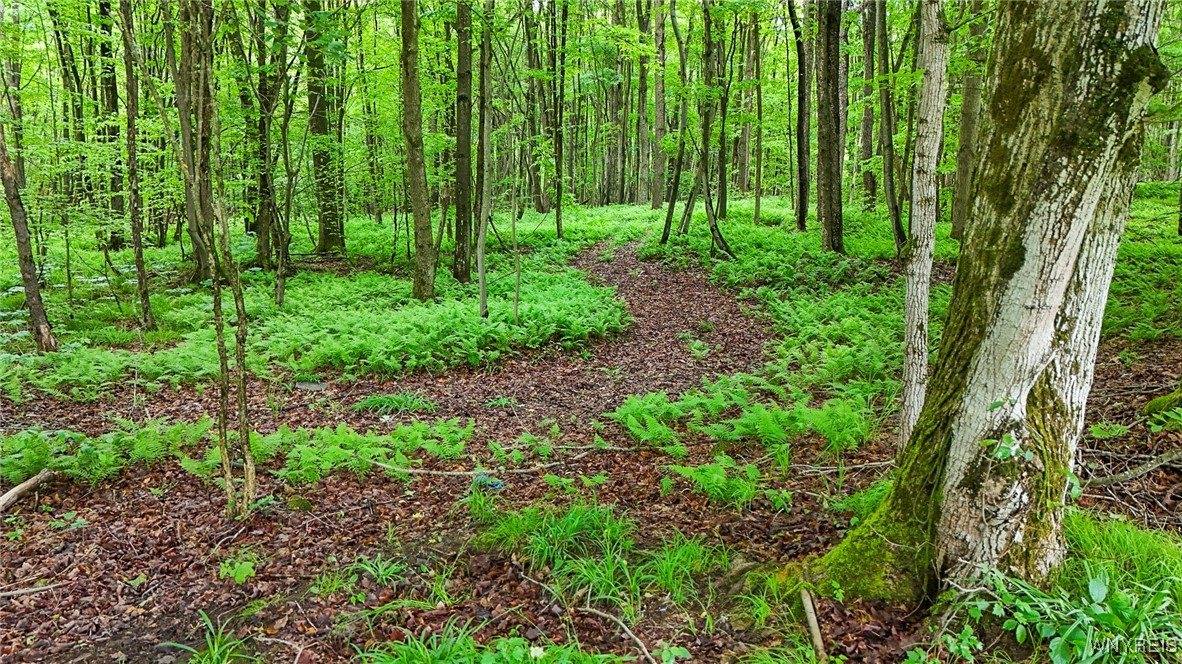 8560 Old State Road, Allen, NY 14709