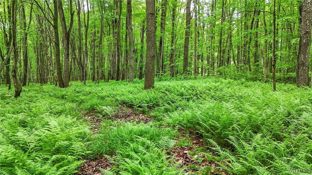 8560 Old State Road, Allen, NY 14709