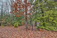 132 Garden Gate Way, Lexington, SC 29072