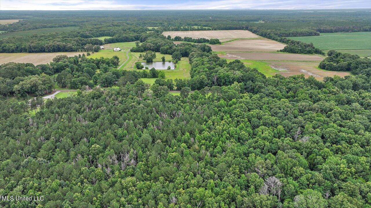 0 Parker Road, Pelahatchie, MS 39145