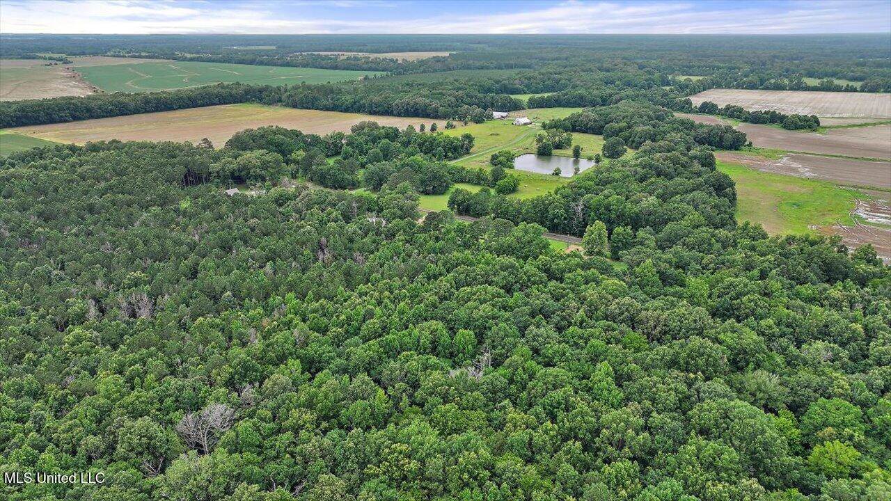 0 Parker Road, Pelahatchie, MS 39145