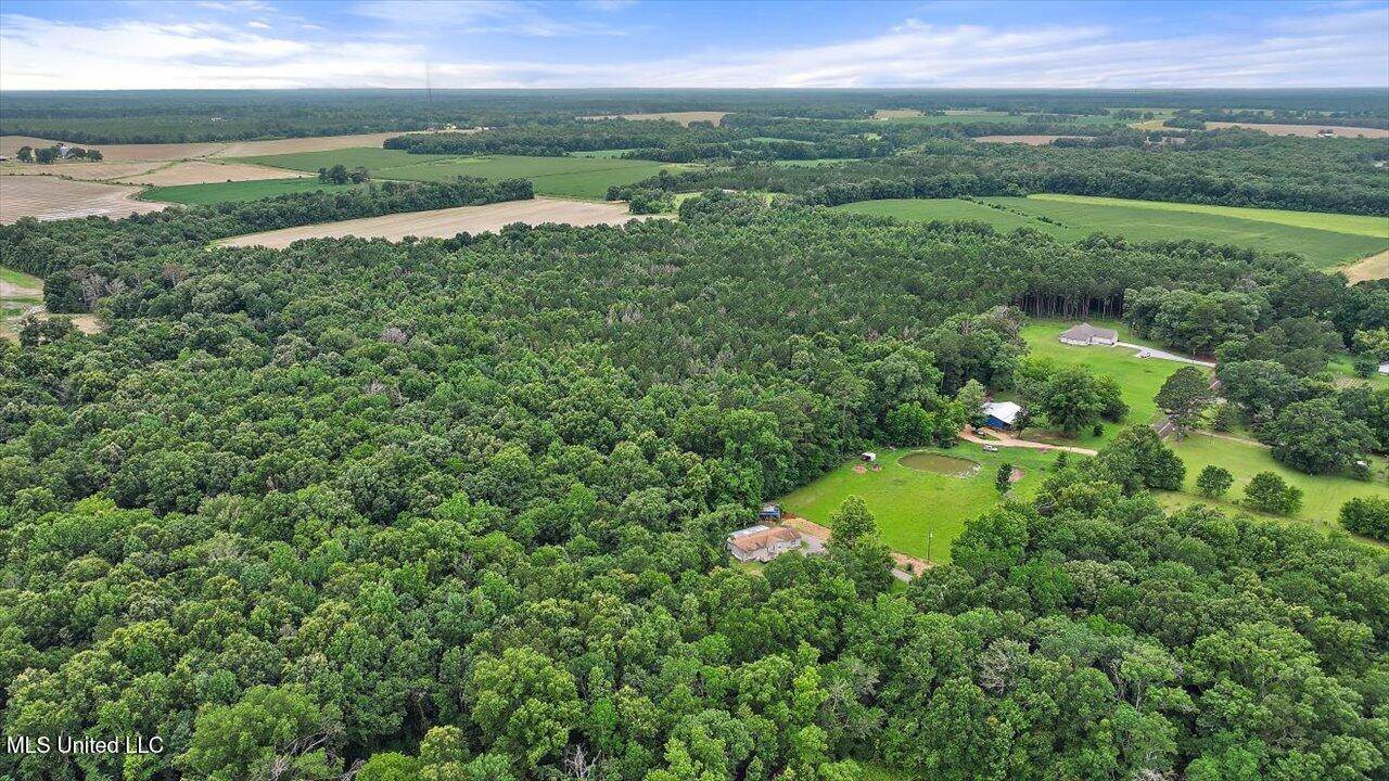 0 Parker Road, Pelahatchie, MS 39145