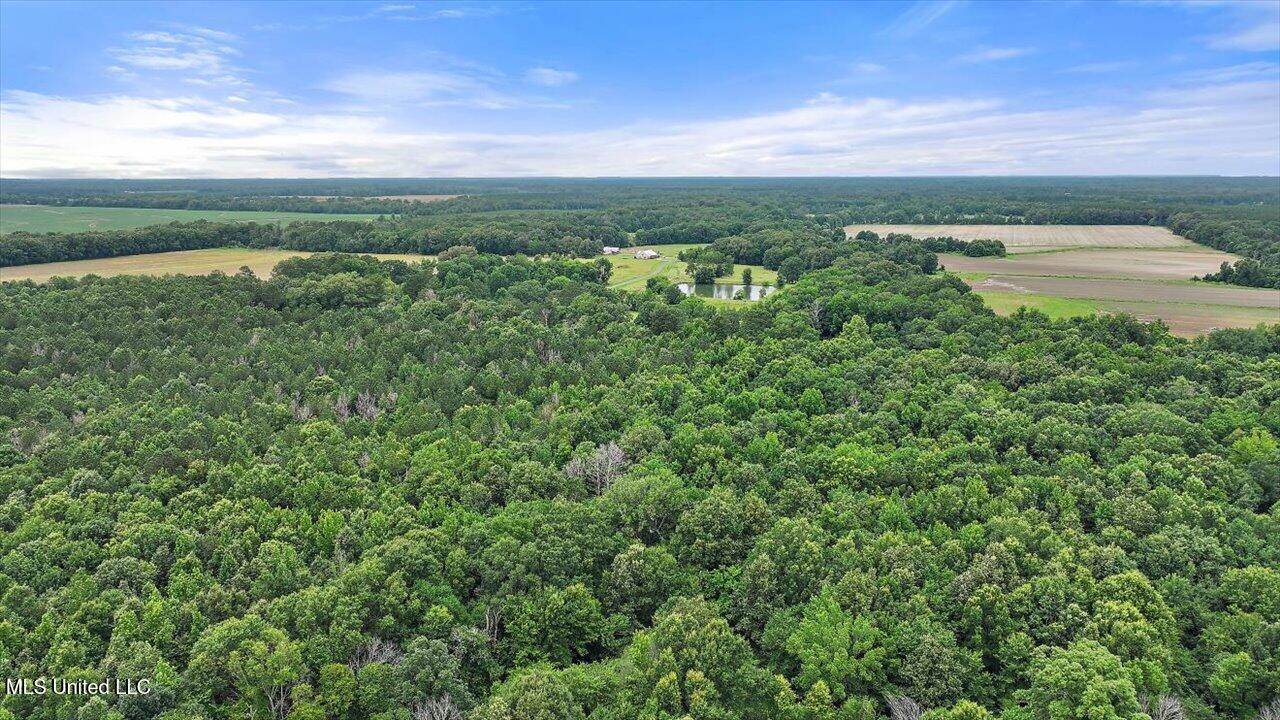 0 Parker Road, Pelahatchie, MS 39145