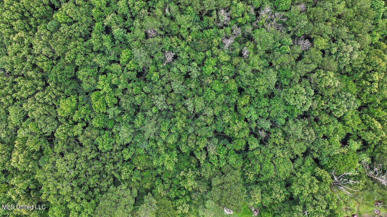 0 Parker Road, Pelahatchie, MS 39145