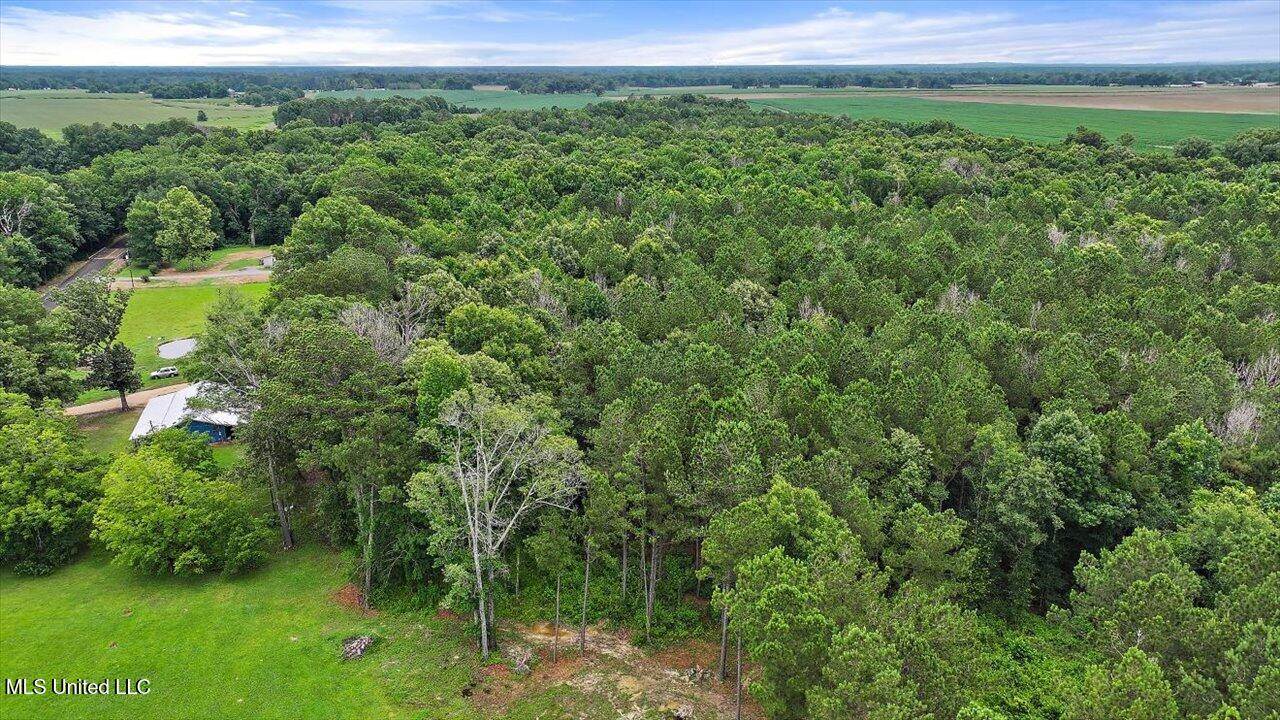 0 Parker Road, Pelahatchie, MS 39145