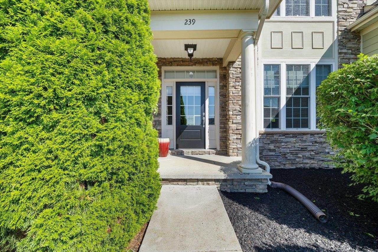 239 Windsor Dr, Fishersville, VA 22939