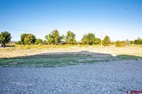 62897 Niagara Road, Montrose, CO 81403