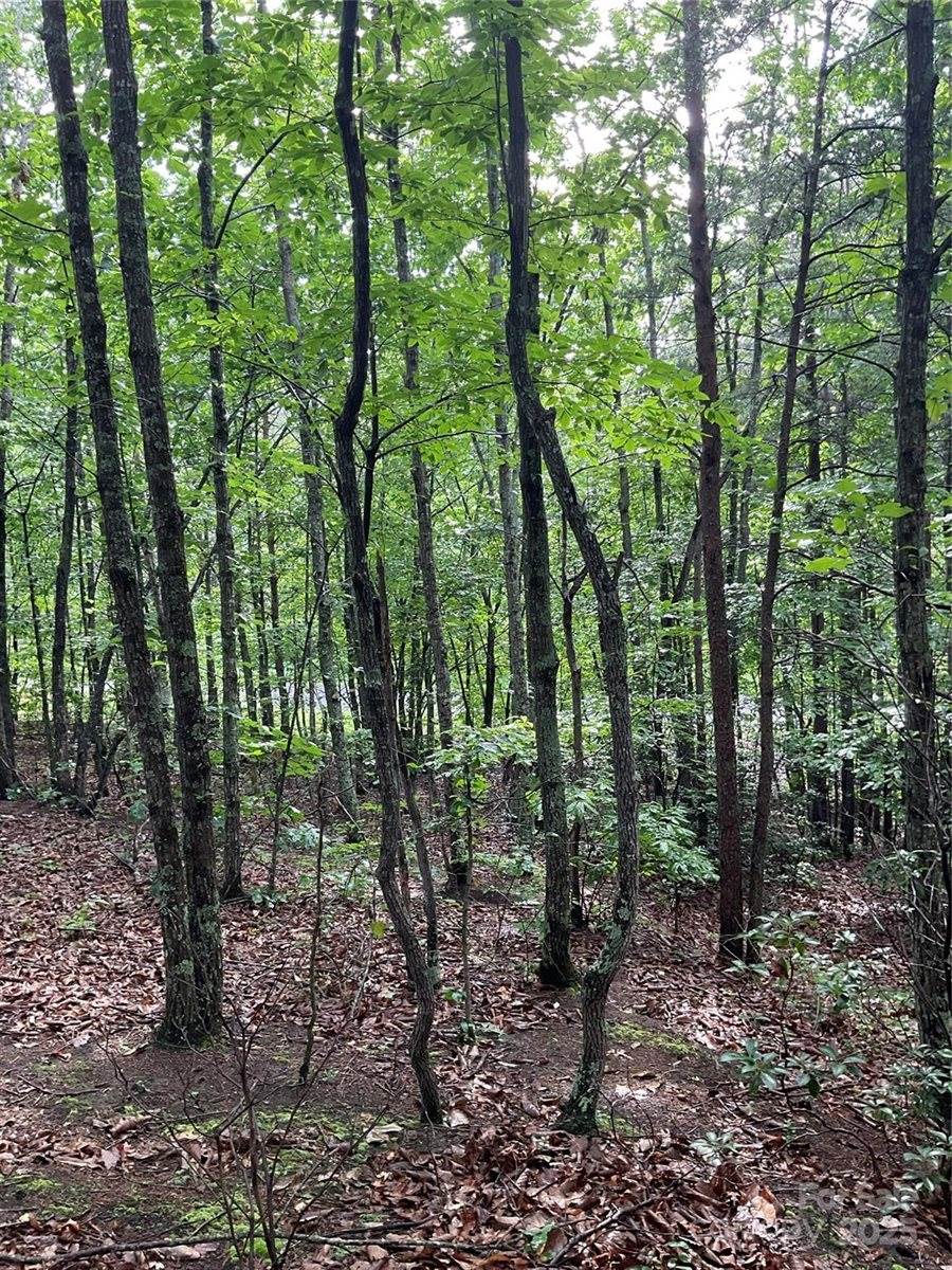 0 Valley View Court, Hickory, NC 28602