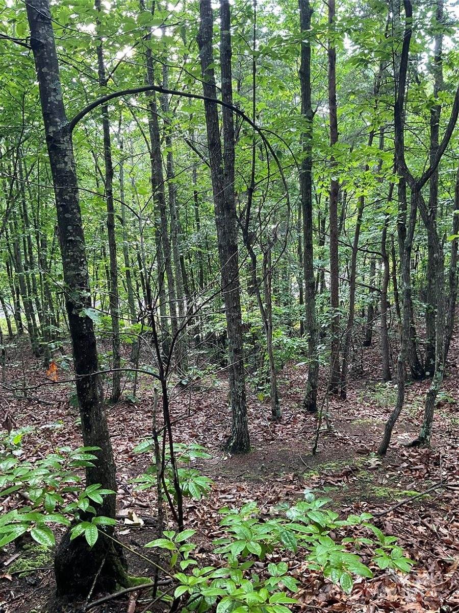 0 Valley View Court, Hickory, NC 28602