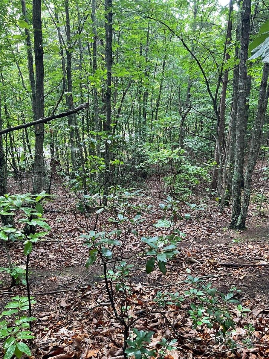 0 Valley View Court, Hickory, NC 28602