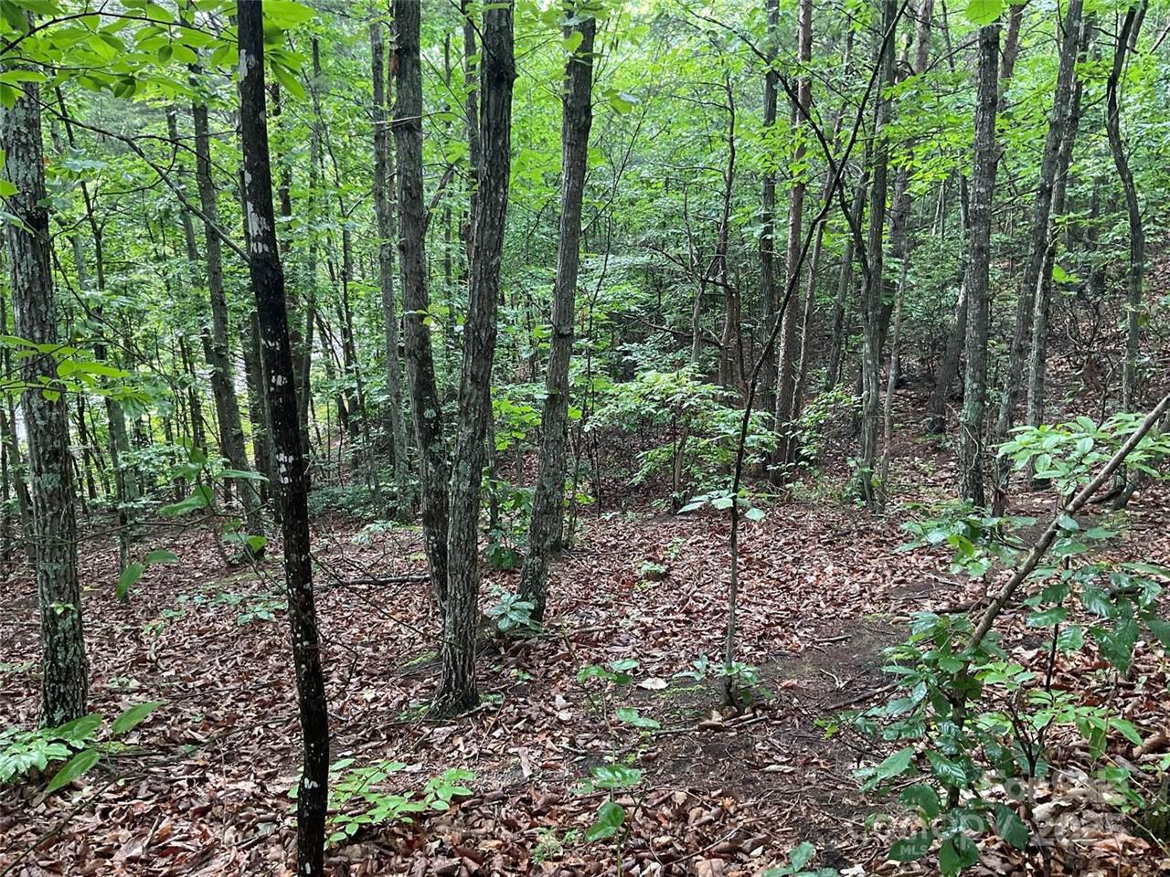 0 Valley View Court, Hickory, NC 28602