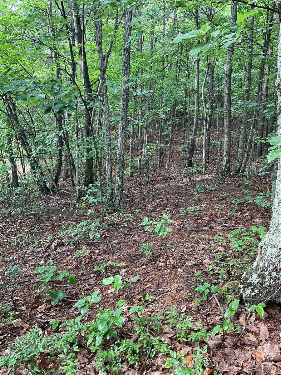 0 Valley View Court, Hickory, NC 28602