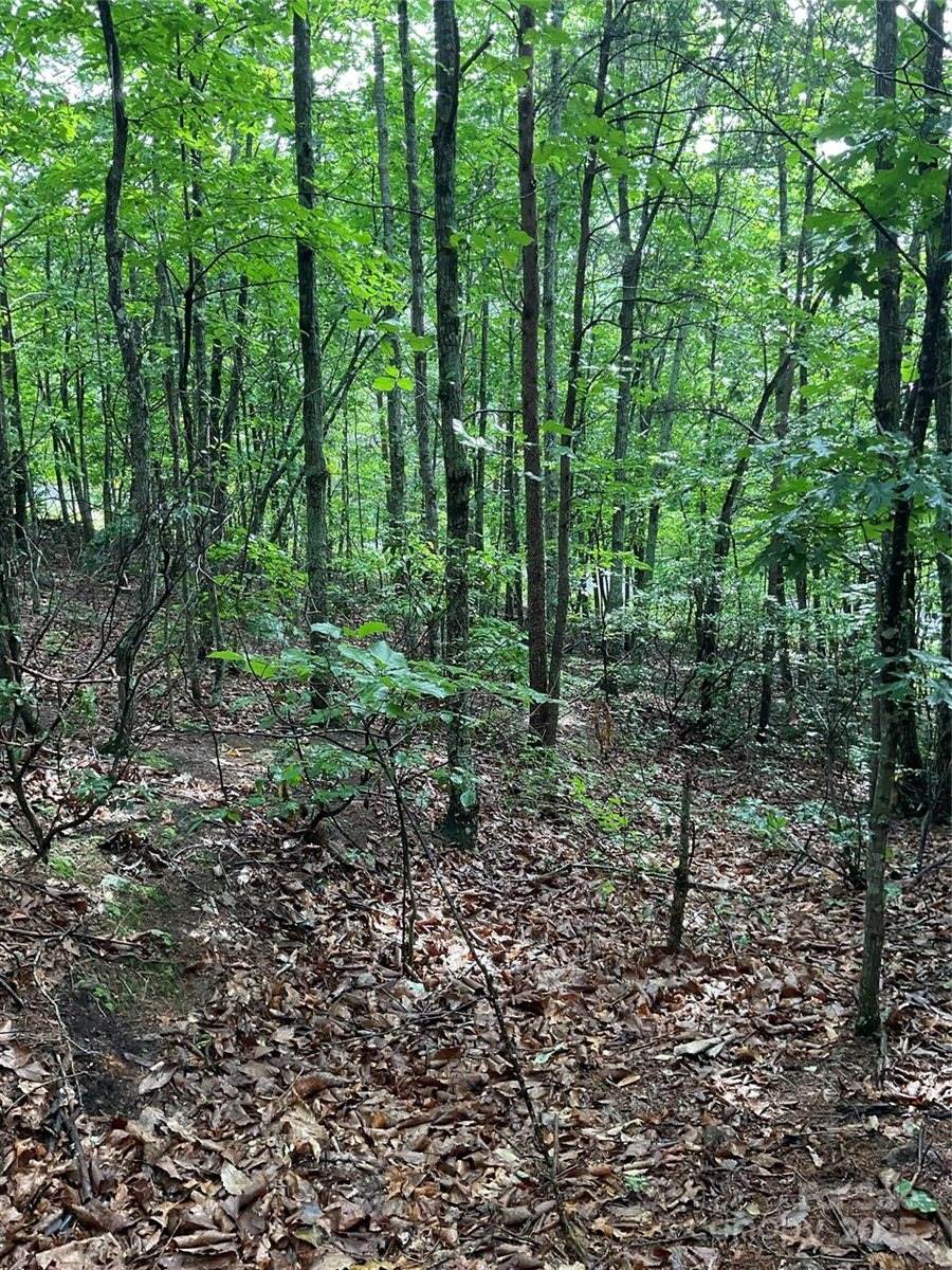 0 Valley View Court, Hickory, NC 28602