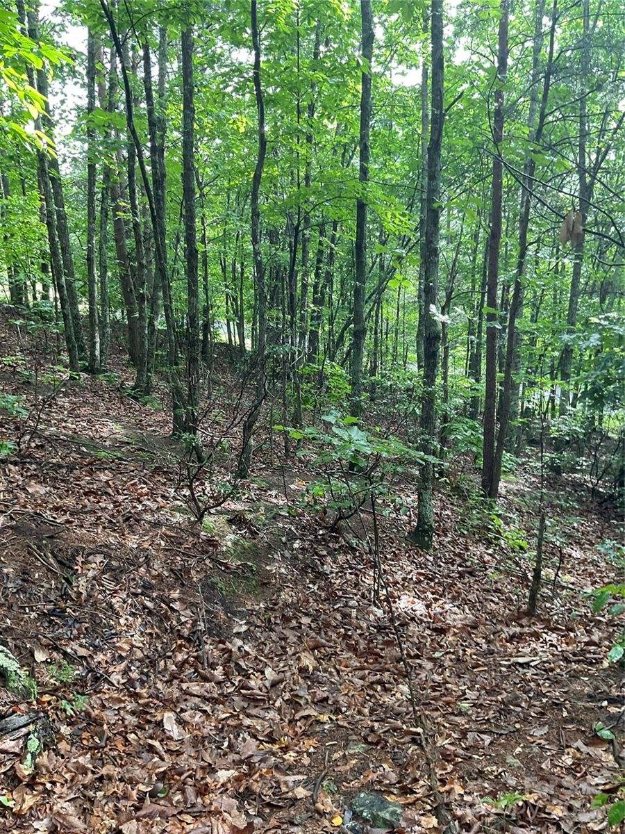 0 Valley View Court, Hickory, NC 28602