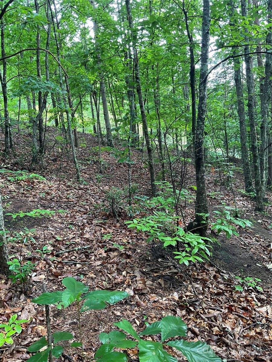 0 Valley View Court, Hickory, NC 28602