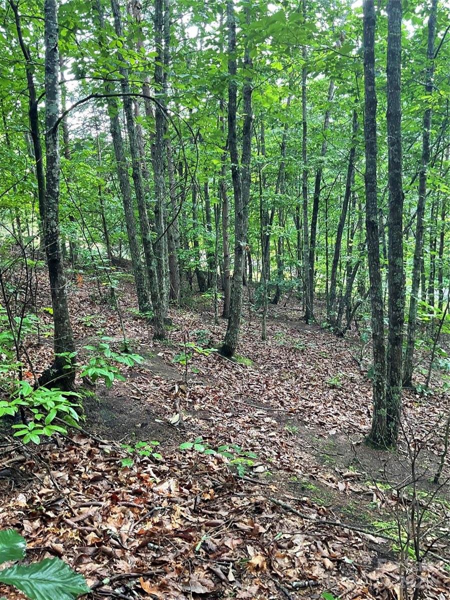 0 Valley View Court, Hickory, NC 28602