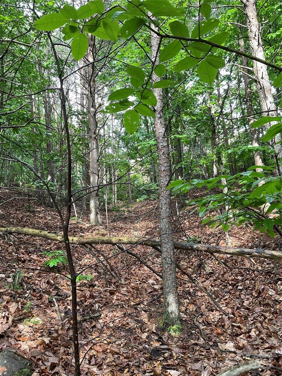 0 Valley View Court, Hickory, NC 28602