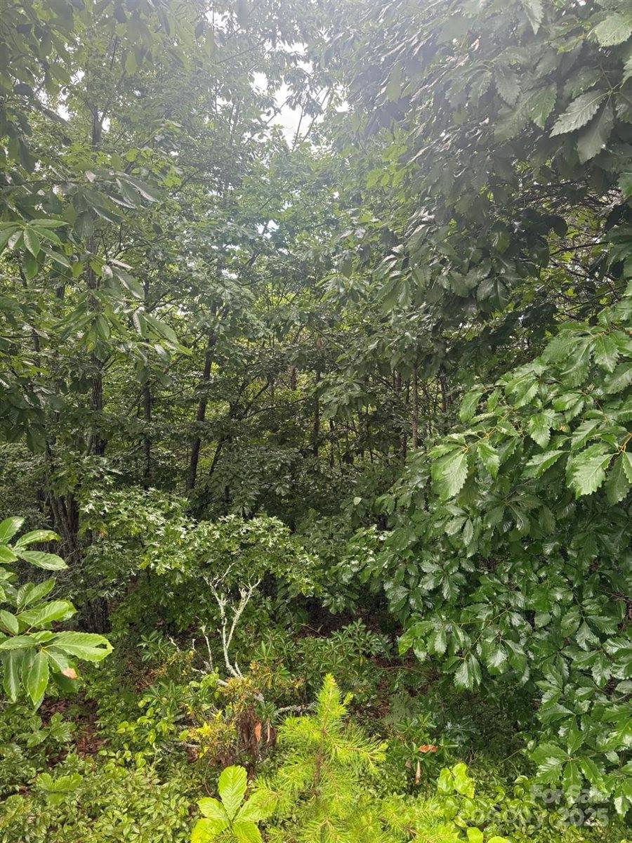 0 Valley View Court, Hickory, NC 28602