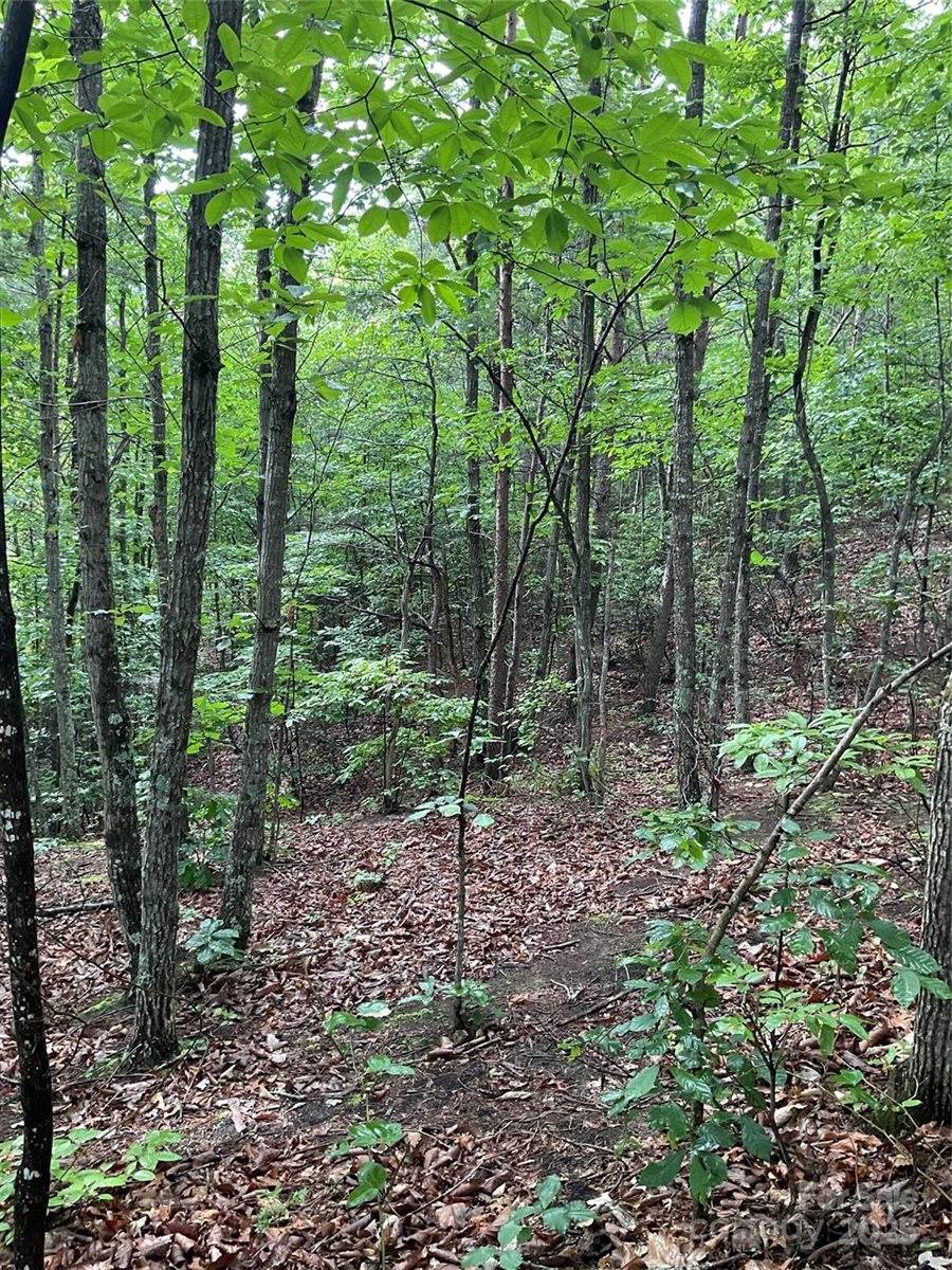 0 Valley View Court, Hickory, NC 28602