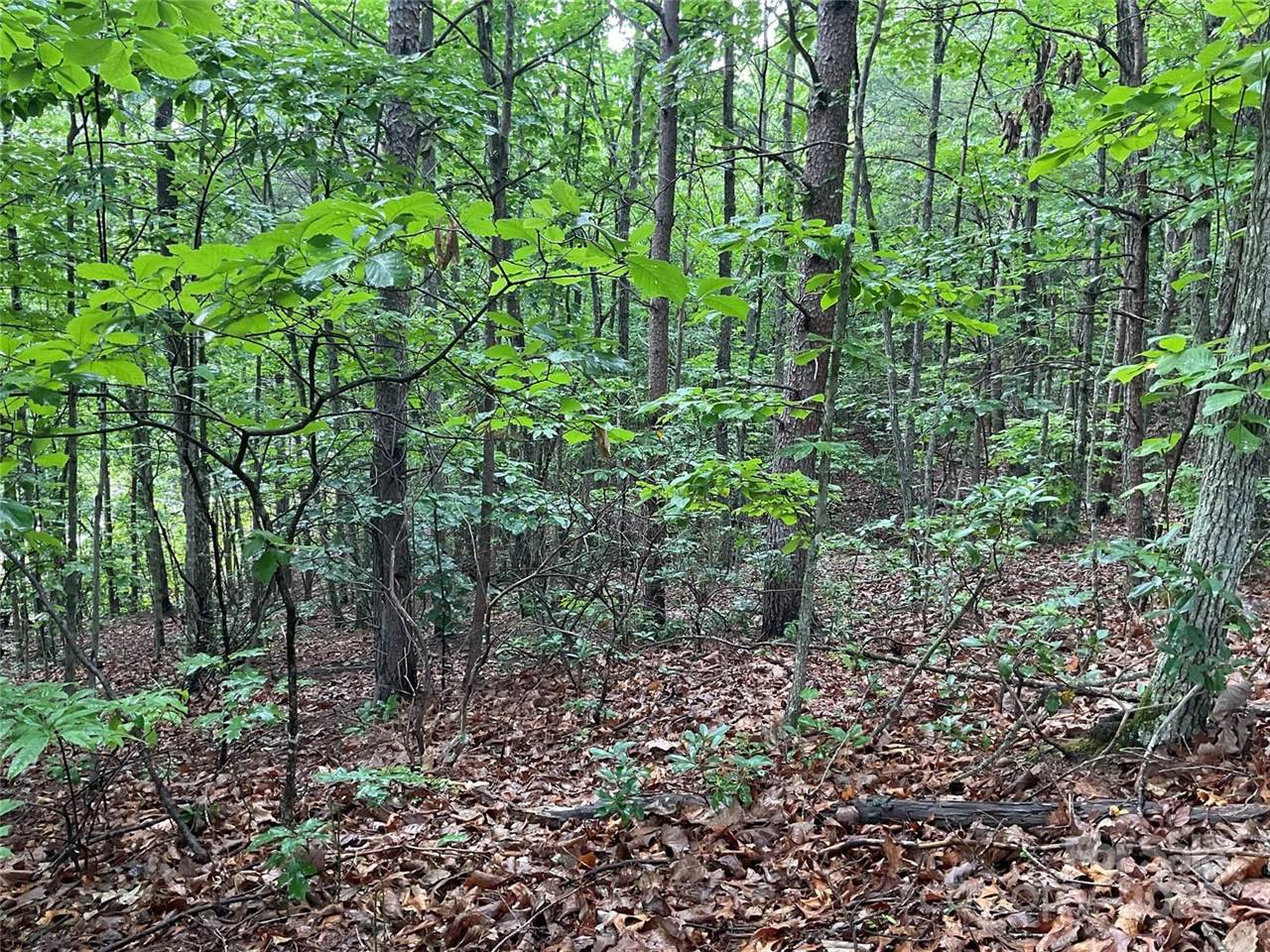 0 Valley View Court, Hickory, NC 28602