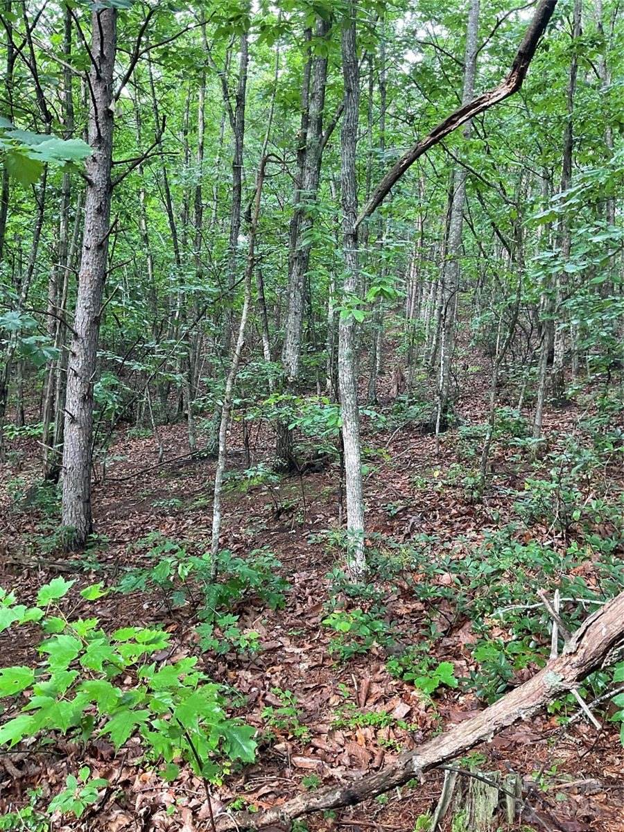 0 Valley View Court, Hickory, NC 28602