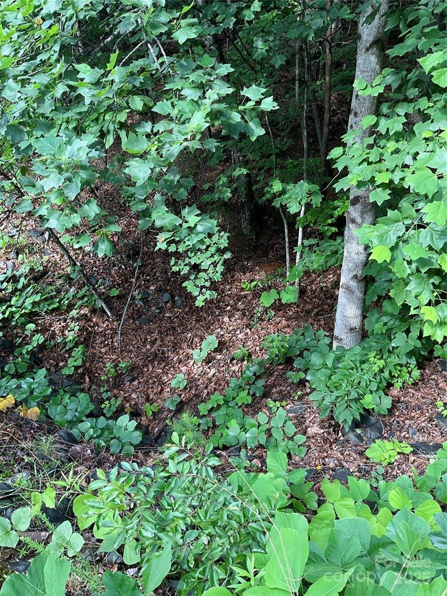 0 Valley View Court, Hickory, NC 28602