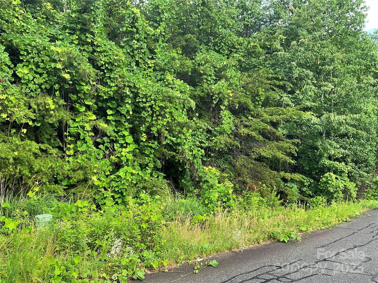 0 Valley View Court, Hickory, NC 28602