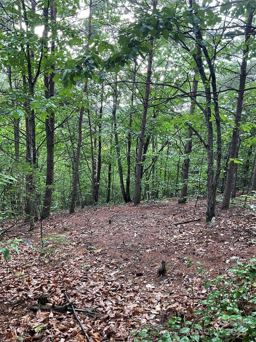 0 Valley View Court, Hickory, NC 28602