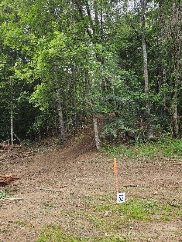 9999 Settlers Trail, #52, Mars Hill, NC 28754