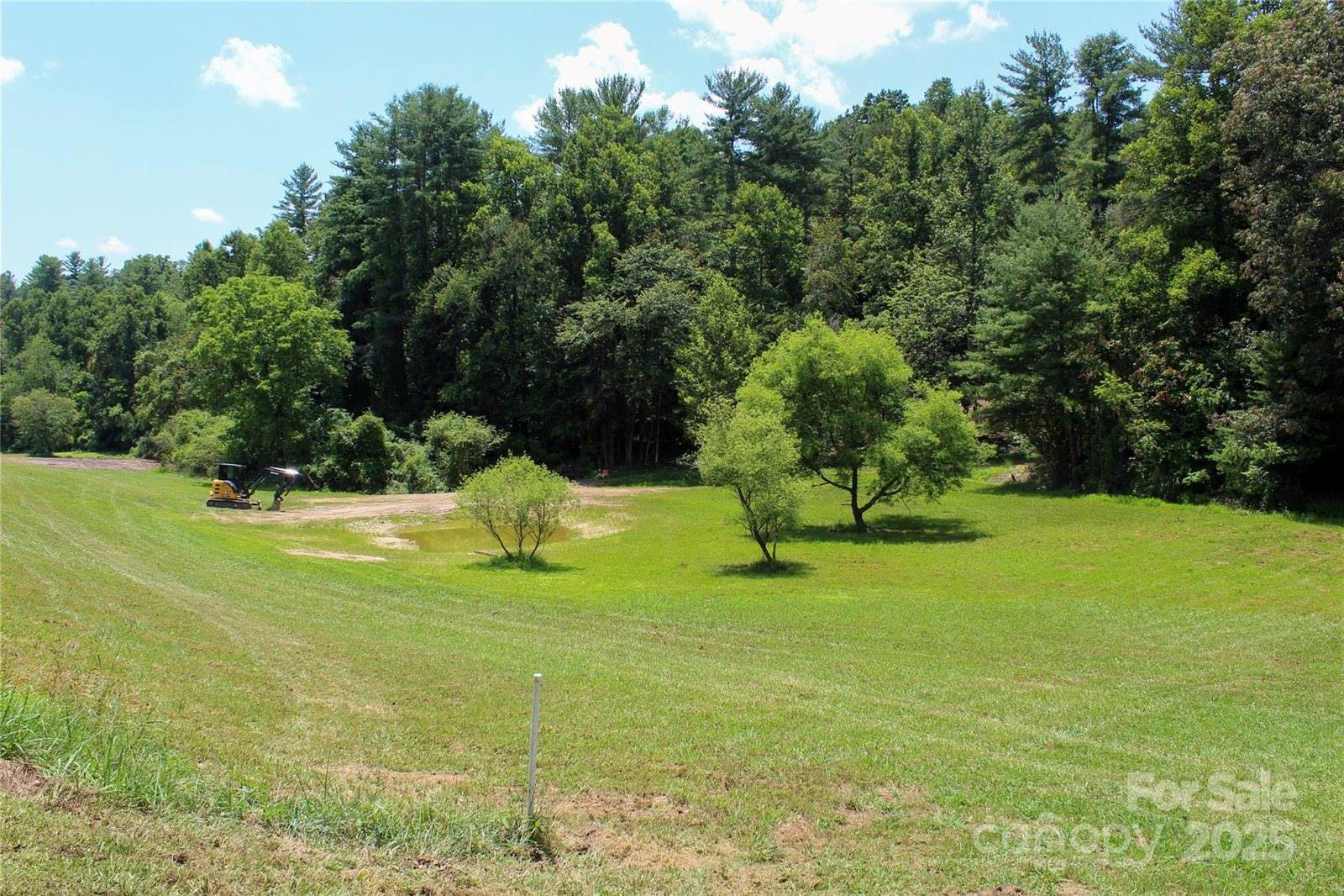 9999 Settlers Trail, #45, Mars Hill, NC 28754