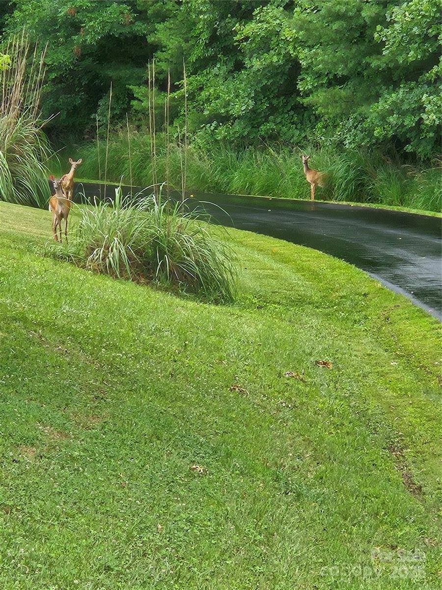 9999 Settlers Trail, #45, Mars Hill, NC 28754