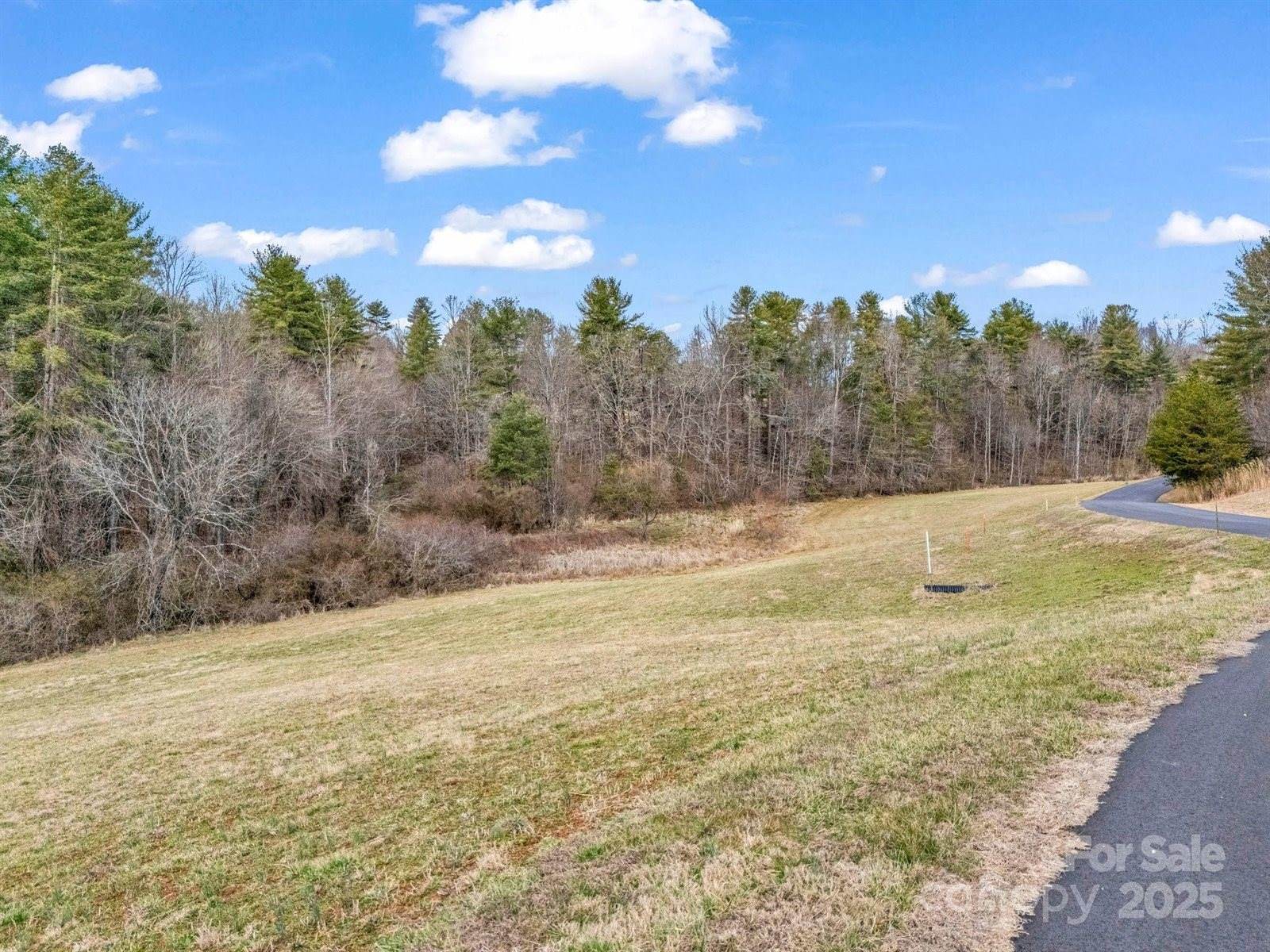 9999 Settlers Trail, Mars Hill, NC 28754